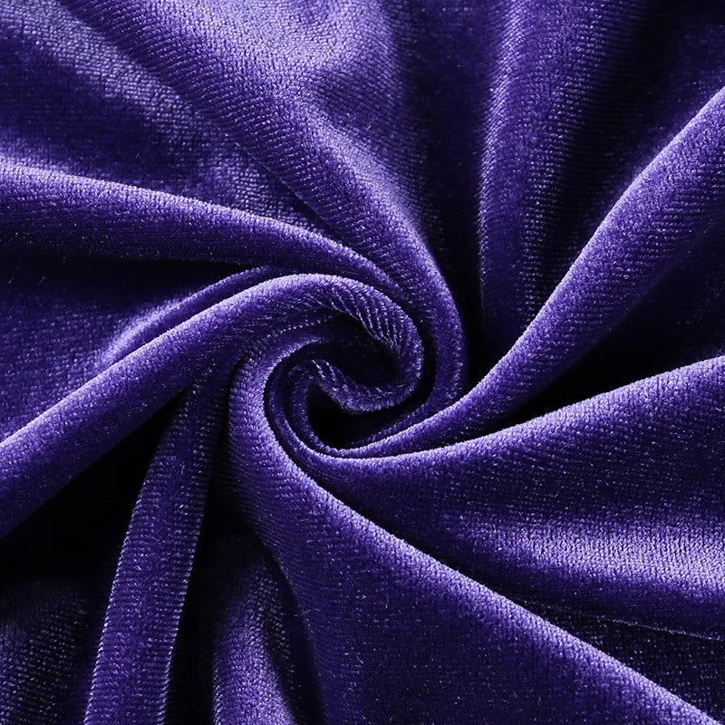 Goth Purple Dress Vintage Velvet A Line Lolita Dress Aesthetic Gothic High Waist Ladies Club Party Dresses