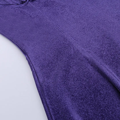 Goth Purple Dress Vintage Velvet A Line Lolita Dress Aesthetic Gothic High Waist Ladies Club Party Dresses